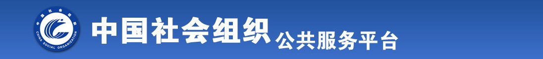 抽插嫩逼全国社会组织信息查询